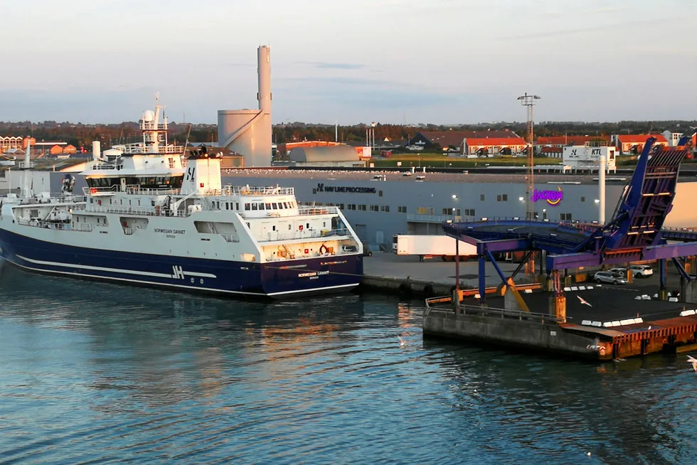 «Norwegian Gannet», her ved havn i Hirtshals hvor eierne har bygget en egen mottaksterminal for fisken.