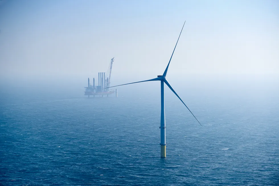 Rock-star energy? Swedish utility Vattenfall's Horns Rev 3 wind farm.