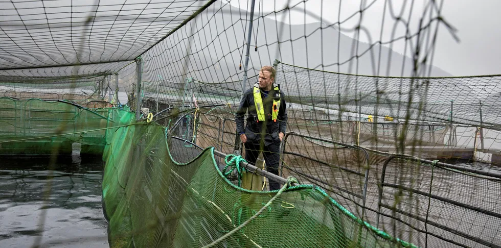 Frå ein sped start på 70-talet har Eide Fjordbruk i dag vakse seg til ein milliardbedrift. Sondre Eide på smoltanlegget i Skogseidvatnet.