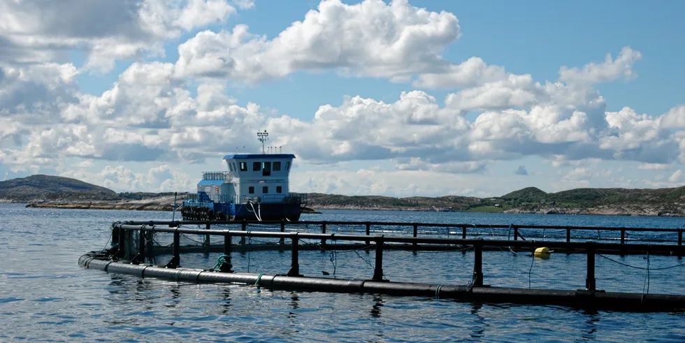 Emilsen Fisk i Vikna i Nord-Trøndelag.