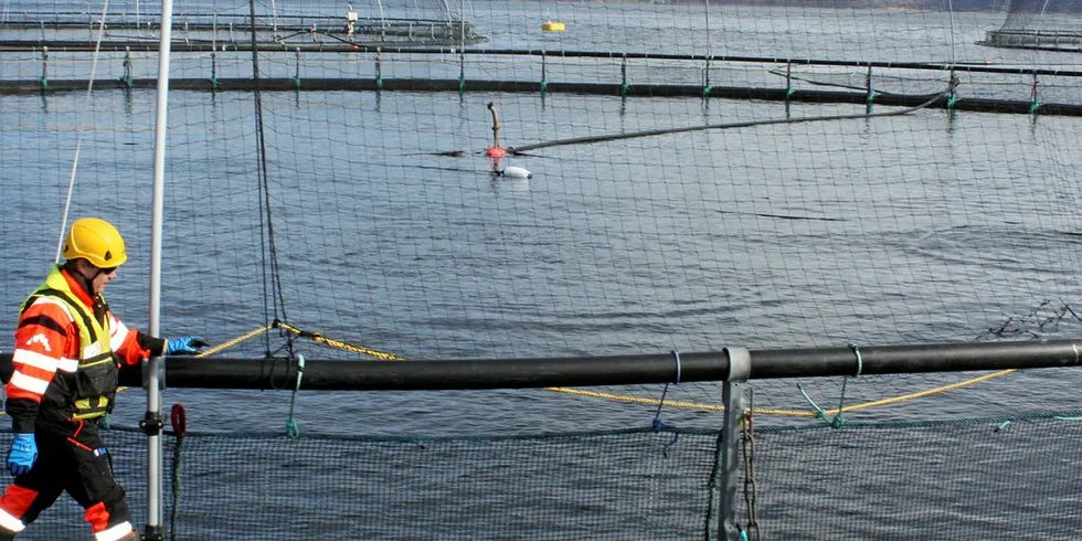 BEDRING: Salmar melder om bedring i Midt-Norge, men at selskapets aktivitet i Nord-Norge ble påvirket blant annet av algeoppblomstringen i andre kvartal. Her fra Salmar Nord på Lysnes i Lenvik kommune på Senja.