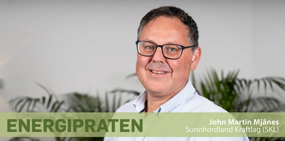 Mjånes om kraftutbygging: – Vi vil det ikke nok