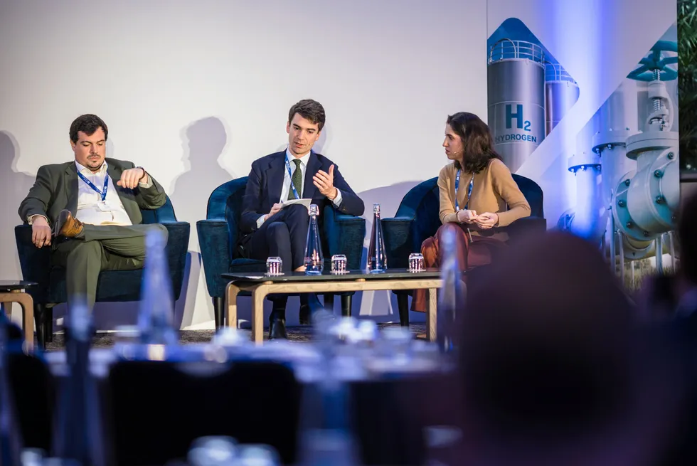 Lieuwe Burger, Air Products’ director of public affairs, northwest Europe, speaking at the Wood Mackenzie Hydrogen Conference 2024.