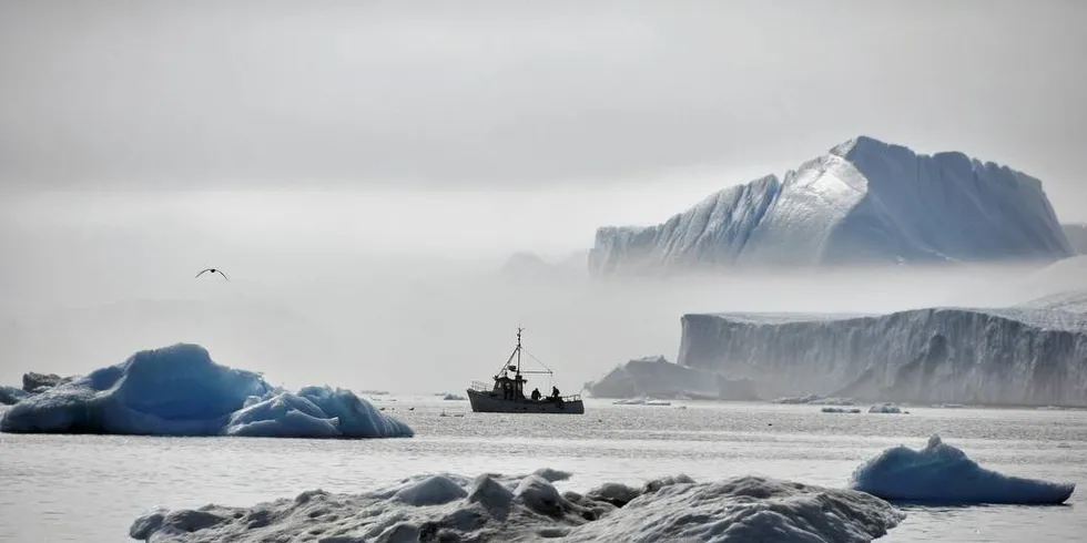 Kaldt vann trekker til seg mer CO2 enn varmt vann, og de arktiske farvannene er derfor spesielt sårbare for havforsuringArkivfoto: Mia Kanestad Kulseng