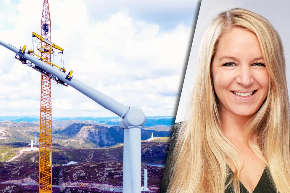 Nina Hirsch mener Hafslund har gode forutsetninger for å bli en viktig og god vindkraftaktør i årene fremover. Selskapet kjøpte i fjor Tonstad vindkraftverk (bildet)
