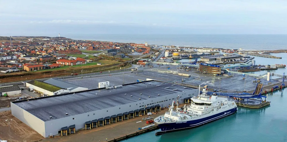 Slaktebåten «Norwegian Gannet» ved kai ved videreforedlingsanlegget til Hav Line i Hirtshals. Laksefabrikken har vært i drift siden januar i fjor, men ble offisielt åpnet i mai.