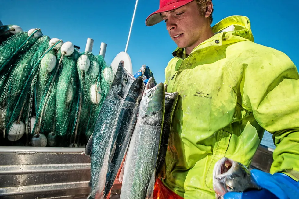 Copper River fish are making their way into the market.