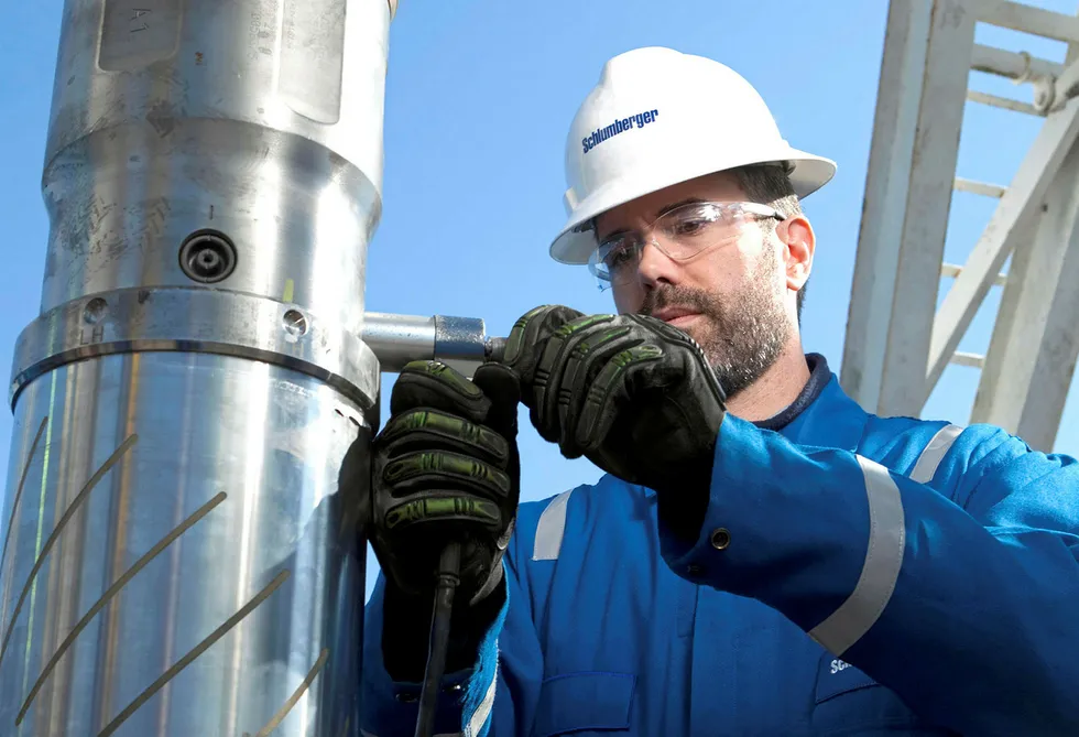 Sole interest: Schlumberger only bid for work on the Geleki field