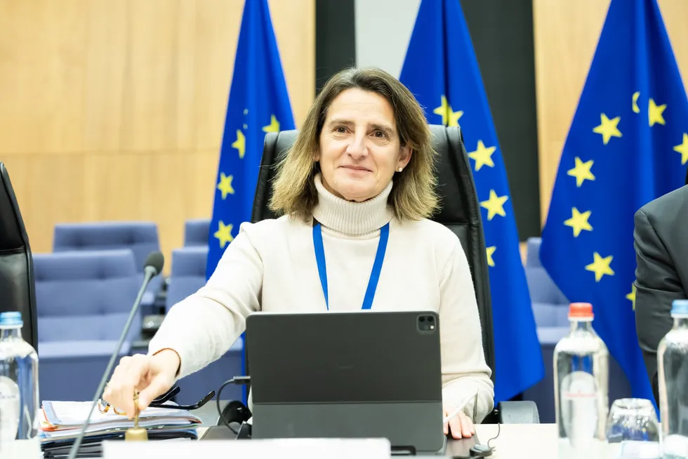 Teresa Ribera, the European Commission's executive vice-president for clean, just and competitive transition