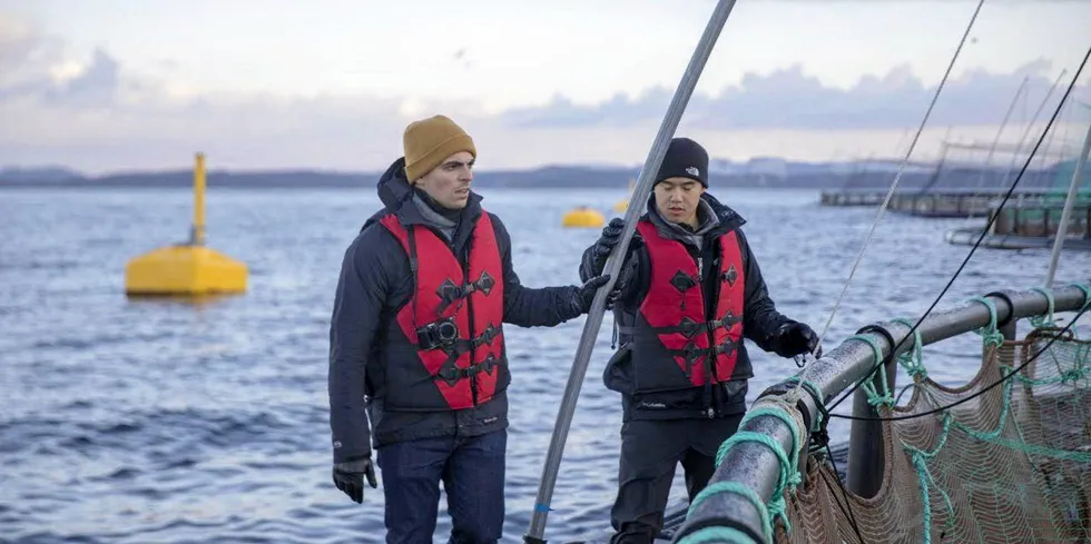 Daglig leder i Manolin Tony Chen (til venstre) har har samlet inn lusetall fra de sekst siste årene for å se hvem som har forbedret seg mest. Her avbildet sammen med teknisk sjef i Manolin John Constantino.