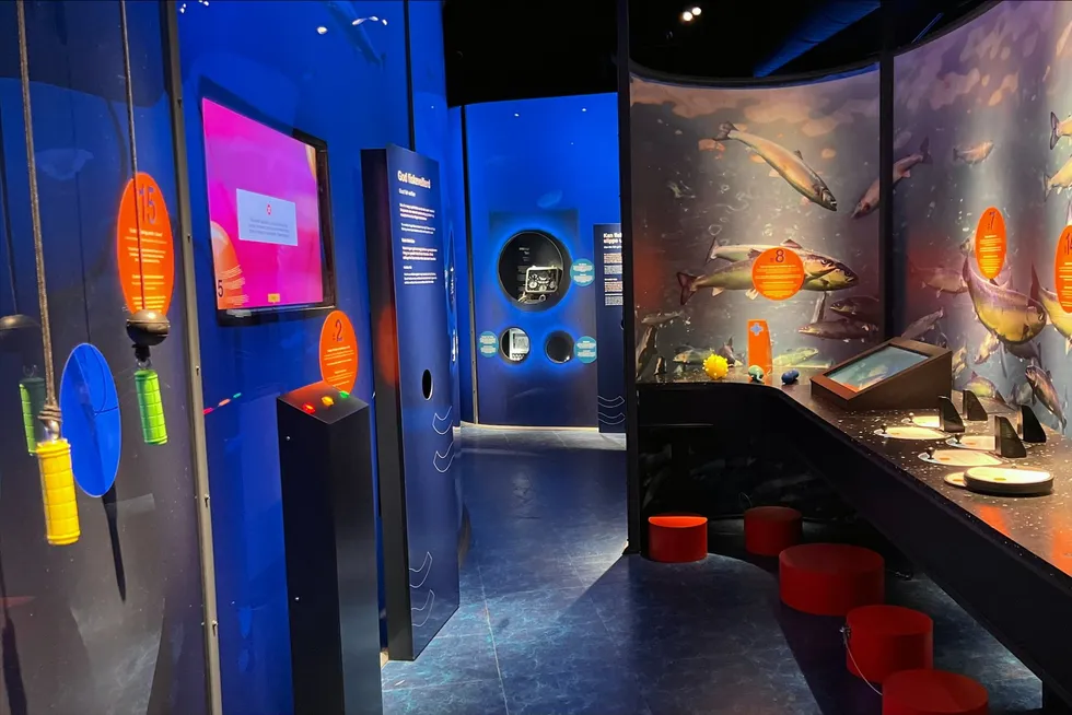 Når de besøkende ikke tar del tilleggsaktiviteter, er kunnskapsutbyttet mer avhengig av utstillingens kvalitet. Bildet er fra Salmon Centre Rørvik, Salmars visningssenter.