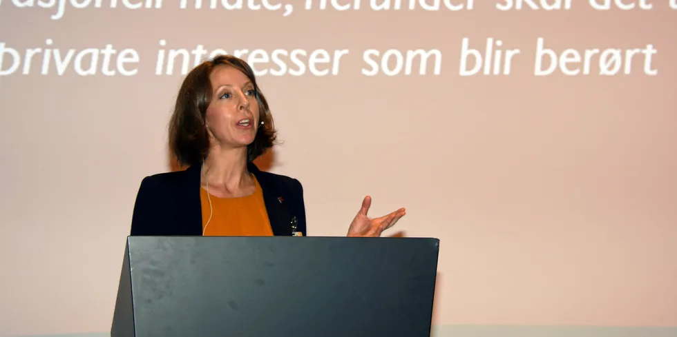 – Plusskundestatistikken viser at det har vært en tredobling av antall plusskunder siden mars 2019. Om lag 87 posent av plusskundene i dag er husholdninger, sier seksjonssjef i RME, Guro Grøtterud.
