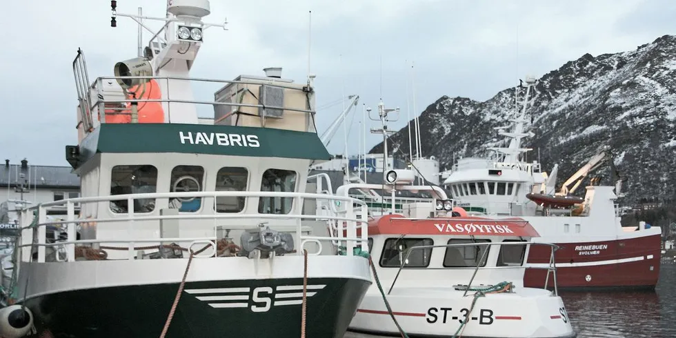 Venstre mener at kvotetaket for stor kyst bør økes fra fem til åtte kvotefaktorer. Foto: Terje Jensen/Fiskeribladet