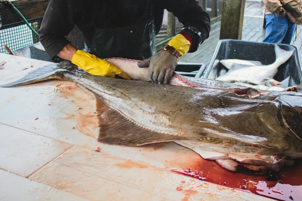 The abrupt closure of the Peter Pan fish plant in King Cove, Alaska, has thrown the small town into crisis.