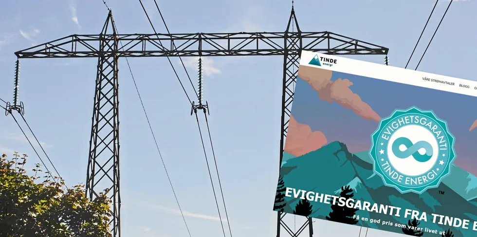 Tinde Energi lover evighetsgaranti på strømavtalen på egne nettsider. I årsregnskapet har det avgåtte styret litt kortere tidshorisont: de er usikre på om selskapet overlever inneværende år om ikke kundenes gode fastprisavtaler blir avviklet.
