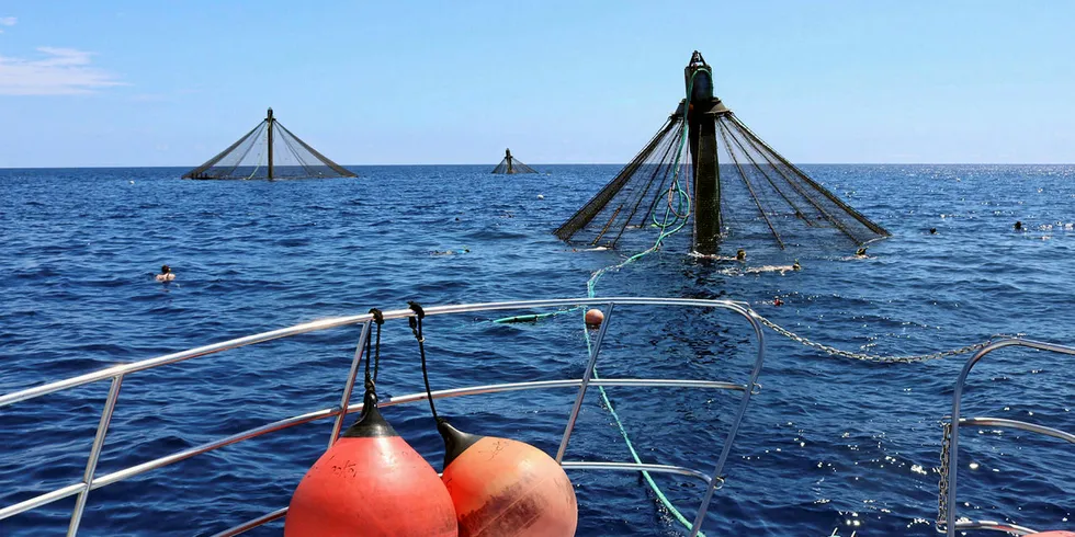 The US takes a big step toward advancing aquaculture development in federal waters.