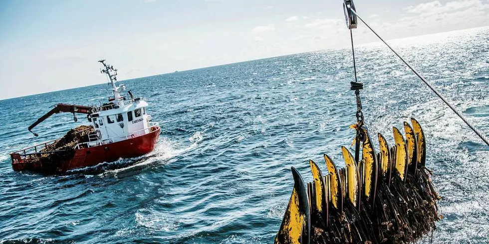 Høstefartøyet Sjøalg ute på tokt langs jærkysten på oppdrag for FMC Biopolymer.Foto: Tommy Ellingsen