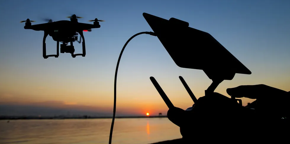 Offshore wind farms are seen as vulnerable to drone attacks.
