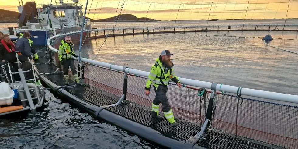 Norcods lokalitet Jamnungen på Frøya. Michael Jobotn er skiftleder.