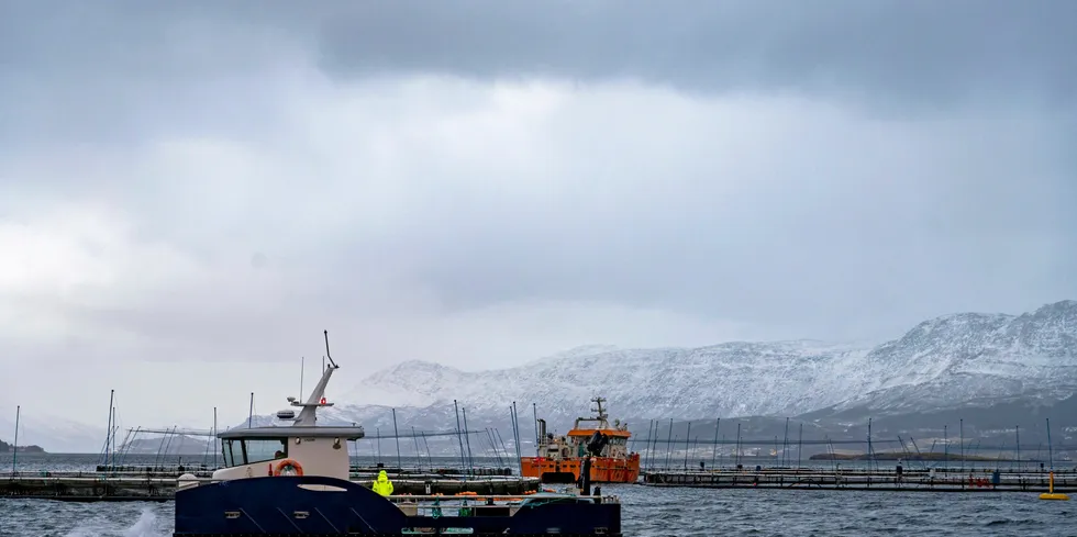 Norcod er en av landets største torskeoppdrettere. Her fra et anlegg i Nesna kommune i Nordland.