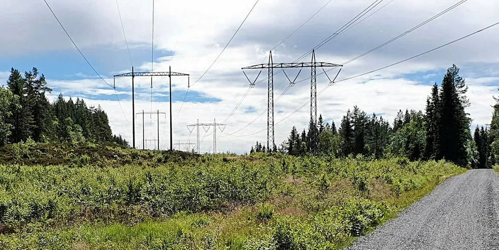Energi Norge mener det er viktig at nettselskaper fåroverta en del av de oppgavene Statnett i dag har i regionalt distribusjonsnett.