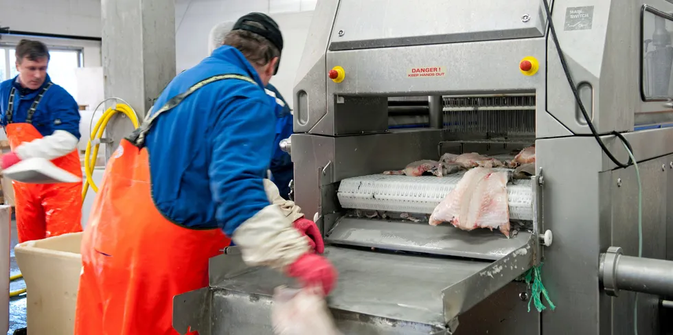 Bearbeidingsutvalget mener det er behov for en økt og helhetlig satsing over tid, både fra myndighetene og fra sjømatindustrien, for å øke bearbeidingen av sjømat i Norge.