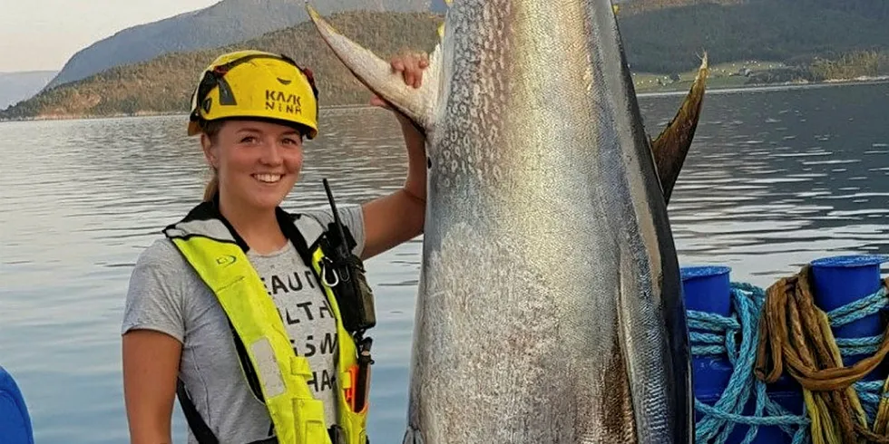 Over 200 kilo tuna fish was found in a salmon farm