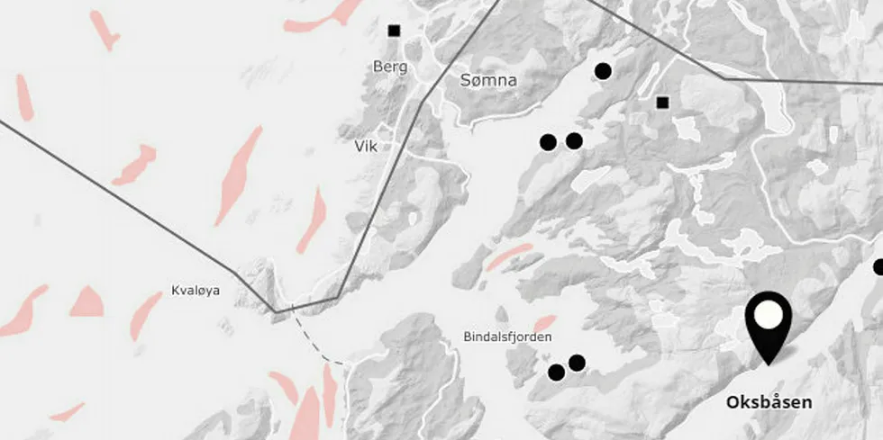 SinkaBerg Hansens lokalitet, Oksbåsen i Trøndelag (37077).