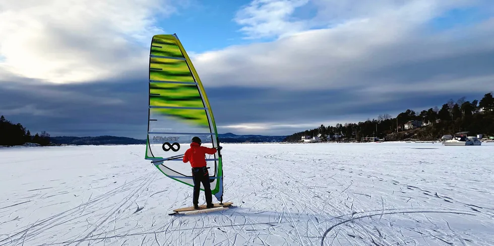 . Det er kaldt i det meste av Norden, men vindkraften leverer fortsatt. De neste dagene sier prognosene at det vil blåse mindre, og det kan løfte prisene ytterligere. Bildet er tatt ved Fornebu søndag.