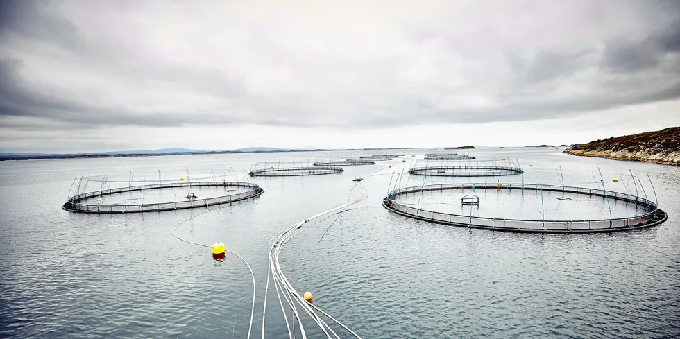 Lokaliteten Espnestaren i Frøya kommune tilhører Måsøval Fiskeoppdrett.