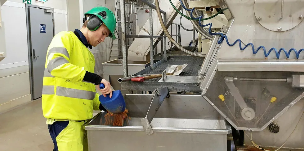 En operatør tar prøver av Skretting sitt fôr ved fabrikken på Averøy i Møre og Romsdal Fishfeed, fôr.