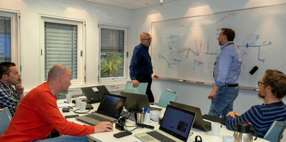 Bilde fra workshop om nettinformasjonssystemet.