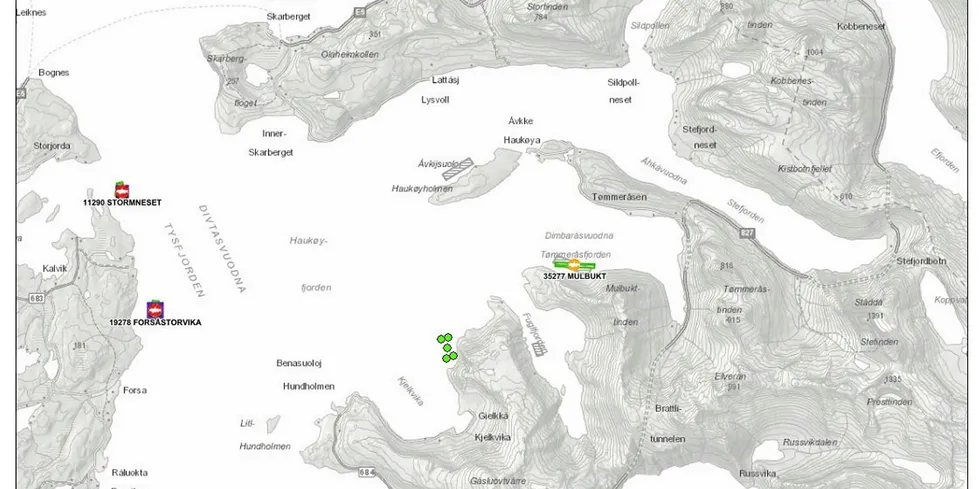 Kart over omsøkt plassering av oppdrettsanlegget ved Bergkråa markert med grønne hjørne- og midtpunkt til de flytende delene av anlegget. Kart hentet fra ArcMap.