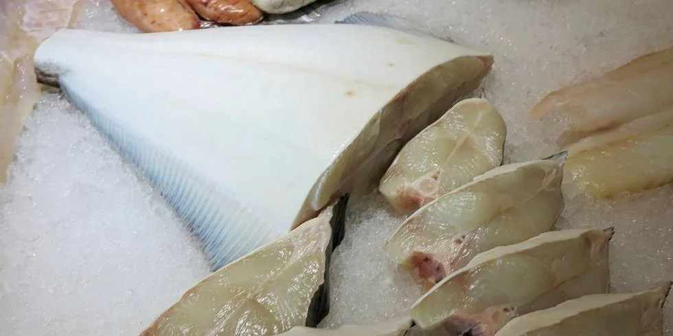 Arctic Fish Exsport selger alt av hvitfisk, blant annet kveite.