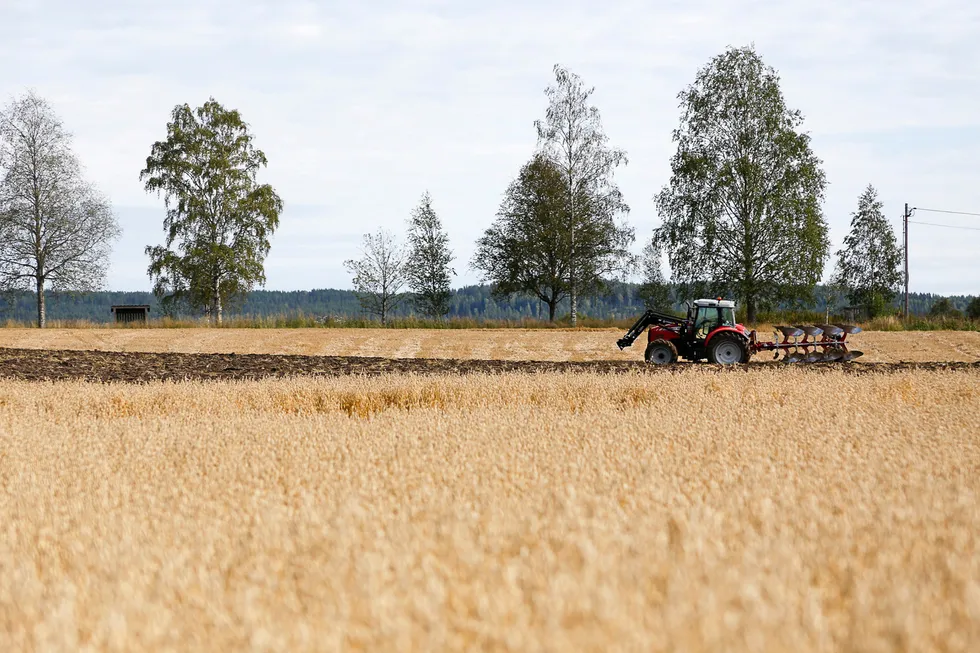 Det bør være et tankekors at rundt ti prosent av verdens kornproduksjon ikke blir til mat, men derimot til biodrivstoff, skriver artikkelforfatteren.