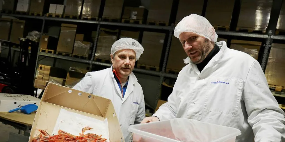Jack-Robert Møller (t.h.) mener fiskeriministeren og oppdrettsnæringen famler for mye om hvorvidt lusebehandling bør foregå nær rekefelt. Her er han avbildet sammen med Håkon Are Krag hos Lyngen Reker AS.Foto: Jørn Mikael Hagen