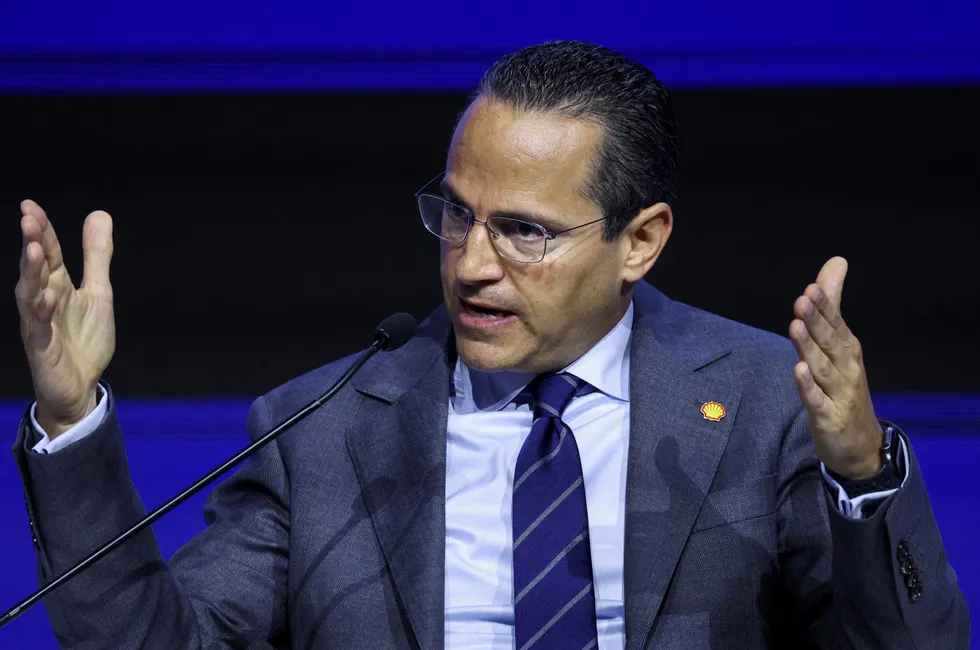 Shell chief executive Wael Sawan