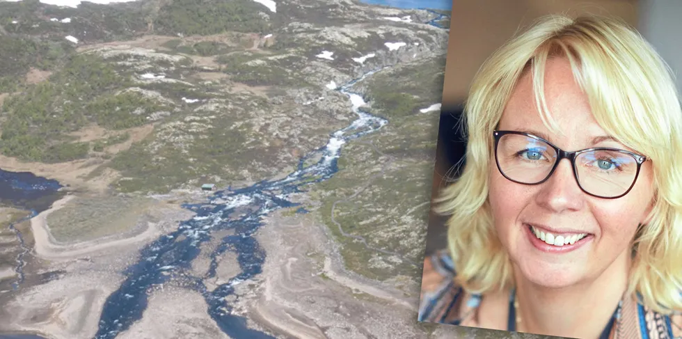 Hafslund Eco-sjef Kristin Lian er fornøyd med at selskapet får bygge Frosen kraftverk.