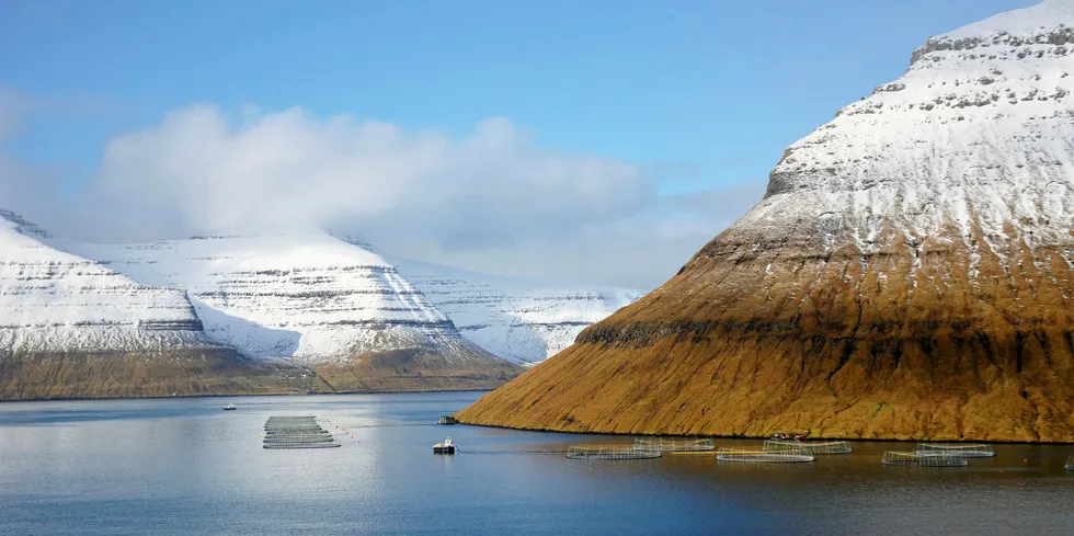 Illustrasjonsfoto: Kunoyarnes er en av Bakkafrosts lokaliteter på Færøyene.