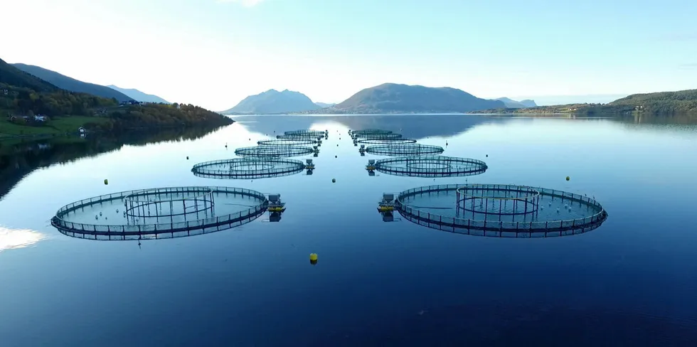 En av sjølokalitetene til Nordic Halibut. I standard lakseutstyr (120-meters ringer) produserer selskapet kveiter opp til slaktevekt på 6-7 kilo.