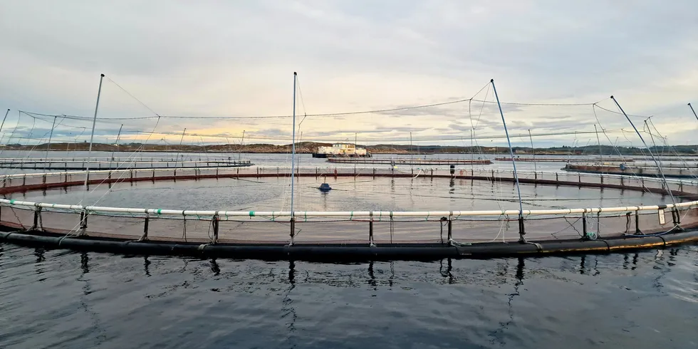 Norcods lokalitet Jamnungen på Frøya hvor det står oppdrettstorsk i sjøen.