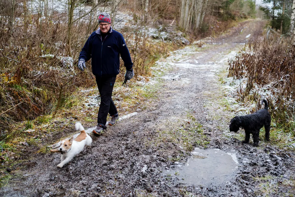 Paal Jerven (61) har nylig bundet renten på lånet han har i Den Danske Bank. Nå skal han ha en fast rent på 2,95 prosent i fem år. Her går han tur med døtrenes hunder, den sorte Snauzeren Embla og den lille Jack Russelen Max.