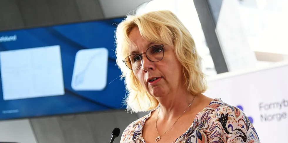 DNV peker på systemsvikt, ikke menneskelig svikt. Konserndirektør Kristin Lian i Hafslund Eco beklager at ansatte er satt i en vanskelig situasjon.