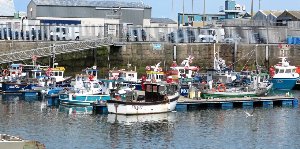 I HAVN: En rekke av de mindre fiskebåtene, som her i Peterhead havn i Skottland, ligger i havn som følge av at de ikke får eksportert skalldyr som de fisker.