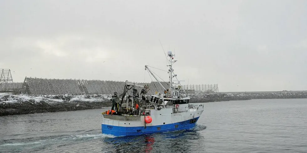 INDUSTRIEIERE: «Øynes» er en av kystfiskebåtene der Falch-selskapet har eierinteresser. Dispensasjonen fra Deltakerloven frister foreløpig ikke selskapet til å utvide eierandelen.Foto: Kjersti Kvile