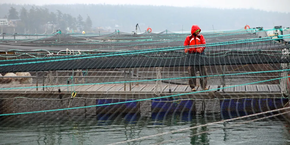 Cooke aquaculture Hope Island salmon farm site in washington state.