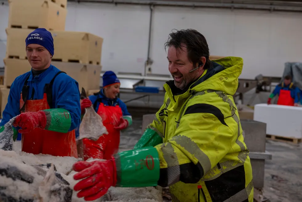 Per Arne Ingebrigtsen daglig leder Træna Sjømat AS.