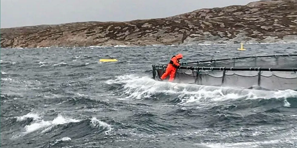 Uværsarbeid på merdkanten er krevende.