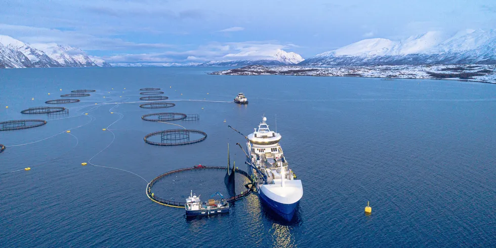 Brønnbåten« Ro Fortune» ved oppdrettsanlegget Lerøy Årøya i Lyngenfjorden.