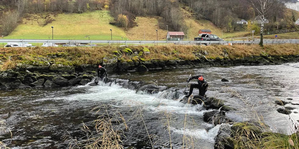 Vikja var én av elvene Aller Aqua ble pålagt å drive miljøovervåkning i. Her fra da Norce undersøkte elven for rømt oppdrettslaks i november.